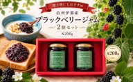 信州伊那産 ブラックベリー ジャム 200g 2個 セット | フルーツ ジャム ブラックベリー 完熟 つみたて 加工品 長野県 伊那市【010-e7】