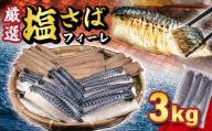 厳選 塩サバ フィーレ 約 3kg ノルウェー産 冷凍 ｻﾊﾞ 鯖 塩さば 塩鯖 フィレ フィーレ 厳選 海鮮 魚 訳なし 正規品 大容量 青魚 おかず 惣菜 魚介 おつまみ 弁当 人気 冷凍食品 グルメ 贈答 贈物 ギフト 長期保存 小分け お取り寄せ BBQ ふるさと納税 ふるさと納税サバ 送料無料 千葉県 銚子市 大一奈村魚問屋