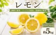 レモン 約5kg グリーンレモン イエローレモン 家庭用 | レモン 愛媛 農薬不使用 ワックス不使用 防腐剤不使用 柑橘 れもん かんきつ lemon フルーツ くだもの 果実 カンキツ ぐりーんれもん いえろーれもん 果物 ふるーつ ジュース レモンジュース レモンスカッシュ お菓子 おやつ デザート グルメ お取り寄せ 送料無料 松山市 愛媛県