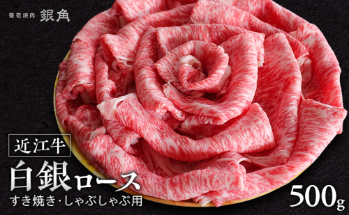 【近江牛】白銀ロース　すき焼き・しゃぶしゃぶ用　500g　牛肉 お肉 国産 和牛 近江牛 滋賀県 米原市 ※12月以降お届け 2865233 - 滋賀県米原市