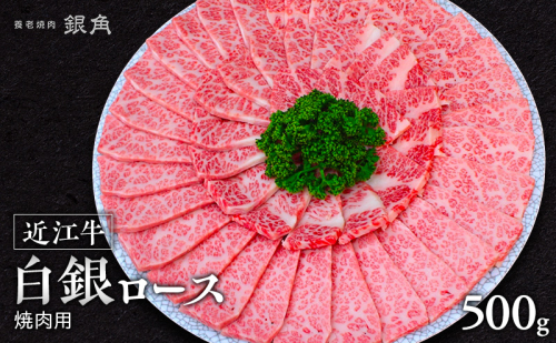 【近江牛】白銀ロース　焼肉用　500g　牛肉 お肉 国産 和牛 近江牛 滋賀県 米原市  ※12月以降お届け 2865235 - 滋賀県米原市