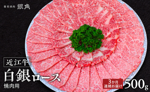 【近江牛】【定期便】白銀ロース　焼肉用　500g×3か月連続お届け　牛肉 お肉 国産 和牛 近江牛 滋賀県 米原市 ※初回は12月 2865241 - 滋賀県米原市