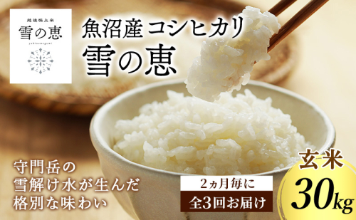 【ふるさと納税】＼金賞米を玄米で定期便／魚沼市食味コンテスト 金賞2回・3年連続受賞 雪の恵 魚沼産コシヒカリ 玄米30kg 2ヶ月毎 全3回 令和8年産 頒布会 米 お米 こしひかり 新潟 魚沼市 2865248 - 新潟県魚沼市