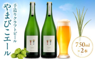 やまびこエール 750ml×2本入りセット ビール 酒 お酒 ギフト お祝い 特産品 贈り物 贈答 宮崎県 串間市_K051-001