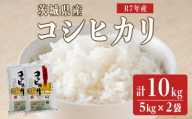 ＜2026年12月発送＞ 米 お米 精米 白米 コシヒカリ コシヒカリ 10kg（5kg×2） 令和7年産 茨城県産米 常陸大宮産米 常陸大宮産コシヒカリ 茨城県産コシヒカリ こめ コメ ご飯 10キロ 国産米 こしひかり【みたざき米穀】【ho1831-12】 国産 こしひかり 茨城県産 令和7年産 おこめ オコメ