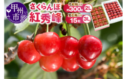 観光果樹園童夢の「紅秀峰」は高糖度で、果肉もハリがありしっかりしています。こちらの３Lサイズのさくらんぼは直径が500円玉以上の"大粒さくらんぼ"で食べ応え抜群です。佐藤錦よりも甘