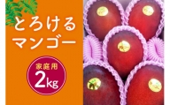 【2024年発送】かねよしマンゴーの甘くとろけるマンゴー2kg（家庭用）