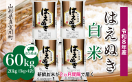 ＜令和8年産米＞ 真室川町産 はえぬき 【白米】 定期便 60kg （20kg×２ヶ月間隔で3回お届け）＜配送時期指定可＞