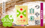 ＜令和8年産米＞ 真室川町産 特別栽培米 つや姫 【白米】 定期便 30kg （5kg×1ヶ月間隔で6回お届け）＜配送時期指定可＞