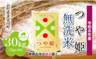 ＜令和8年産米＞ 真室川町産 特別栽培米 つや姫 【無洗米】 定期便 30kg （5kg×1ヶ月間隔で6回お届け）＜配送時期指定可＞