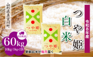 ＜令和8年産米＞ 真室川町産 特別栽培米 つや姫 【白米】 定期便 60kg （10kg×1ヶ月間隔で6回お届け）＜配送時期指定可＞