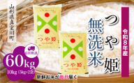 ＜令和8年産米＞ 真室川町産 特別栽培米 つや姫 【無洗米】 定期便 60kg （10kg×1ヶ月間隔で6回お届け）＜配送時期指定可＞