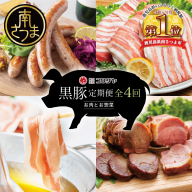 【定期便】コワダヤの黒豚食べ比べ 全4回 （しゃぶしゃぶ・ハム・ソーセージ・焼豚） 豚肉 バラ ロース 焼き豚 ウインナー ローストポーク 豚バラ 惣菜 鹿児島県産 冷凍