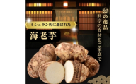 【ミシュラン店が採用】極み海老芋(えびいも)　2kg(孫芋)【1787989】