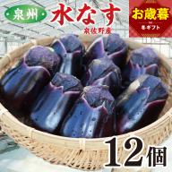 【お歳暮対応】泉州 泉佐野市産 ハウス水なす 12個【茄子 泉佐野産 とれたて 新鮮野菜 やさい 高評価】 010B1061o
