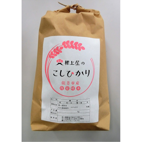 根上屋のこしひかり 10kg 2866429 - 石川県能美市