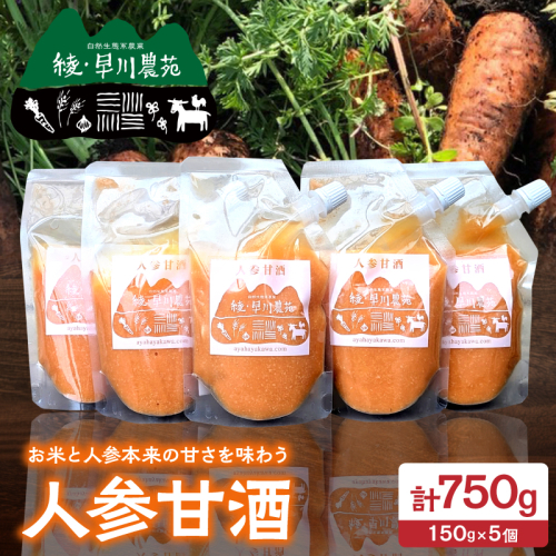 人参甘酒 5個 セット にんじん あま酒 にんじん甘酒 砂糖不使用 ノンアルコール 甘酒シャーベット 炭酸割 牛乳割 ホット甘酒 パウチ 米麹 お米 濃厚でまろやか ギフト 贈り物 プレゼント 贈答 常温 パックタイプ おすすめ 宮崎県 綾町 送料無料_A0005-017 2866443 - 宮崎県綾町