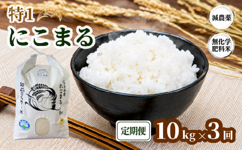 ＼新米／ 令和8年度産「 特1 」 にこまる 【定期便】10kg×3回 弘法大師ファームみつまた  2866514 - 福井県越前市