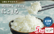 にこまる 5kg 定期便 12回【 クリーン精米 】 無洗米 相当 新米 ブランド米 こめ コメ お米 おこめ ライス【 高知 中土佐町 高知県産 国産 rice kome こめ 米 大野見米 無洗米 特別栽培米 ご飯 ごはん お弁当 おいしい おむすび おにぎり グルメ 送料無料  】