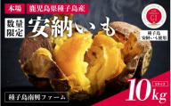 【先行予約】安納いも さつまいも 10kg (Sサイズ)【種子島南興ファーム】種子島 焼きいも 焼き芋 本場 安納芋 さつま芋 甘い ねっとり スイーツ おやつ グルメ お取り寄せ おせち 人気 種子島産 返礼品 南種子町 鹿児島 かごしま 【観光物産館トンミー市場】