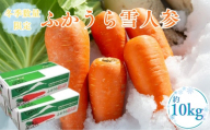 【冬季数量限定】ふかうら雪人参 約10kg 季節 旬 野菜 国産 季節 旬 おまかせ 産地直送  人参 にんじん ニンジン ジュース フルーティー 冷蔵 野菜室 甘い おいしい ブランド 野菜 青森県 深浦町産