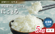 にこまる 5kg 【 白米 】 定期便 12回 計60kg 新米 ブランド米 こめ コメ お米 おこめ ライス【 高知 中土佐町 高知県産 国産 rice kome こめ 米 大野見米 特別栽培米 ご飯 ごはん お弁当 おいしい おむすび おにぎり グルメ 送料無料 5kg 】