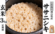 新米 令和８年産 【先行予約】 瀬戸内 自然栽培米 「ササニシキ」玄米 3kg 定期便 6ヵ月 無農薬 無肥料  米 自然栽培 こめ 岡山県 瀬戸内市 さしすせそ Wacca Farm 自然食品 自然食