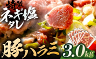 豚ハラミ特製ねぎ塩　3.0kg 【肉 豚肉 ハラミ】