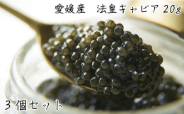 法皇山脈の湧水を掛け流し、8年〜10年かけて育てたキャビアフィッシュ（チョウザメ：ベステル種）から採卵した国産のフレッシュキャビアです。薬品などは一切使わず、自然の湧き水を掛け流して育てているので臭み