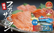 日本初 完全陸上養殖 静岡県小山町産 フジアトランティックサーモン 冷凍 3～4P 約750g（魚体大きめ） | サーモン 刺身 海鮮丼 小分け 真空パック 鮭 養殖 国産 静岡県 小山町