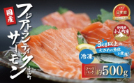 日本初 完全陸上養殖 静岡県小山町産 フジアトランティックサーモン 冷凍 2～3P 約500g（魚体大きめ） | サーモン 刺身 海鮮丼 小分け 真空パック 鮭 養殖 国産 静岡県 小山町