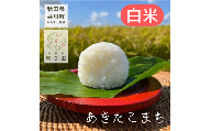 新米 令和8年産 あきたこまち 白米 10kg 単品 精米 秋田県 井川町産 農家直送 お米や輝ら里