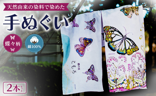 【農花第2弾】　天然由来の染料で染めた手ぬぐい2本セット 【蝶々柄】　手拭い　おしゃれ　てぬぐい　綿　信州　長野県　小諸市 2867574 - 長野県小諸市