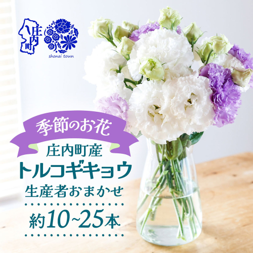 【R8.9月下旬から11月初旬】トルコギキョウ 10本 20本 切り花 生産者おまかせ 2～3色ミックス 白 紫 緑 トルコキキョウ 秋限定 仏花 結婚祝い 旬の花 季節の花 八重咲き フリンジ咲き 花 生花 花束 冷蔵便 国産 庄内町フラワーラボ 山形 2867666 - 山形県庄内町