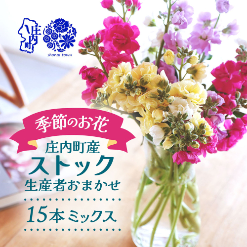 ストック 15本 切り花 選べる配送時期 生産者おまかせ ミックス スプレータイプ スタンダードタイプ 先行受付 ピンク 黄色 紫 白 アラセイトウ 自宅 リビング 花 生花 花束 国産 庄内町フラワーラボ 山形 2867703 - 山形県庄内町