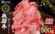【1月発送】 飛騨牛 切り落とし 500g（250g×2P） A5 A4 国産 牛 黒毛和牛 和牛 牛肉 切落し 切り落し 薄切り 訳あり 牛丼 すき焼き しゃぶしゃぶ 炒め物 東白川村 岐阜 飛騨 贅沢 霜降り ロース バラ もも ウデ 肉のひぐち