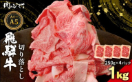【1月発送】 飛騨牛 切り落とし 1kg（250g×4P） A5 A4 国産 牛 黒毛和牛 和牛 牛肉 切落し 切り落し 薄切り 訳あり 牛丼 すき焼き しゃぶしゃぶ 炒め物 東白川村 岐阜 飛騨 贅沢 霜降り ロース バラ もも ウデ 肉のひぐち
