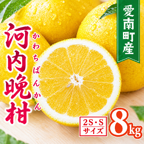 【先行予約】【数量限定】 河内晩柑 樹齢 30年以上 ちびっこ 8kg （ 2S ・ Sサイズ ） 2868032 - 愛媛県愛南町