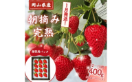 【2027年1月発送】 完熟・朝摘みいちご 贈答用 400g｜糖度12度以上・専用個包装 M-FI-A38A