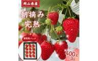 【３回定期便・２０２７年1月発送】完熟・朝摘みいちご 贈答用 400g｜糖度12度以上・専用個包装 M-FI-B08A