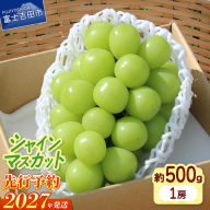 【2027年発送 先行予約】山梨県産 シャインマスカット約500g（1房）