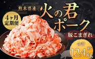 ＜ R8年熊本地震復興支援 ＞【4ヶ月 定期便】熊本県産 火の君ポーク 豚こま 3.1kg 計12.4kg 豚肉 小分け 小間切れ こまぎれ