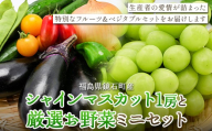 鏡石町産 シャインマスカット1房＆厳選お野菜ミニセット マスカット ぶどう ブドウ 葡萄 デザート フルーツ 果物 くだもの 果実 野菜 炒め物 サラダ 国産 詰め合わせ F6Q-546