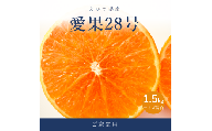 愛果28号 ( 紅まどんな と同品種 ) 家庭用 約1.5kg 【2026年11月下旬より順次発送】 | あいか 愛媛みかん ミカン 蜜柑 まどんな フルーツ 柑橘 果物 おすすめ 高級 人気 お取り寄せ 送料無料 愛媛県 松山市