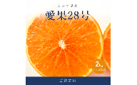 愛果28号 ( 紅まどんな と同品種 ) 家庭用 約2kg 【2026年11月下旬より順次発送】 | あいか 愛媛みかん ミカン 蜜柑 まどんな フルーツ 柑橘 果物 おすすめ 高級 人気 お取り寄せ 送料無料 愛媛県 松山市