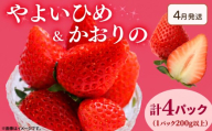 《4月発送》 先行予約  訳あり いちご やよいひめ かおりの 2種セット 計4パック  苺 ストロベリー 果物 フルーツ ケーキ ゼリー ジュース アイス シャーベット チョコ フルーツサンド いちご大福 大福 洋菓子 和菓子 スイーツ デザート ジャム 不揃い 規格外 家庭用 甘い 人気 おすすめ お取り寄せ グルメ 徳島県 阿波市 Berry Mate Farm
