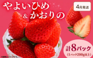 《4月発送》 先行予約  訳あり いちご やよいひめ かおりの 2種セット 計8パック  苺 ストロベリー 果物 フルーツ ケーキ ゼリー ジュース アイス シャーベット チョコ フルーツサンド いちご大福 大福 洋菓子 和菓子 スイーツ デザート ジャム 不揃い 規格外 家庭用 甘い 人気 おすすめ お取り寄せ グルメ 徳島県 阿波市 Berry Mate Farm