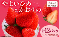 《3月から順次発送》 先行予約 訳あり いちご やよいひめ かおりの 2種セット 計12パック 苺 ストロベリー 果物 フルーツ ケーキ ゼリー ジュース アイス シャーベット チョコ フルーツサンド いちご大福 大福 洋菓子 和菓子 スイーツ デザート ジャム 不揃い 規格外 家庭用 甘い 人気 おすすめ お取り寄せ グルメ 徳島県 阿波市 Berry Mate Farm