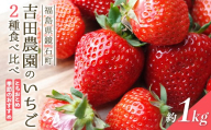 吉田農園のいちご 2種 食べ比べ 約1kg (とちおとめと季節のおすすめ) イチゴ 苺 福島県 鏡石町 F6Q-552