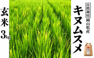 新米 令和８年産 【先行予約】 瀬戸内 自然栽培米 「キヌムスメ」玄米 3kg  無農薬 無肥料  米 自然栽培 こめ 岡山県 瀬戸内市 さしすせそ Wacca Farm 自然食品 自然食